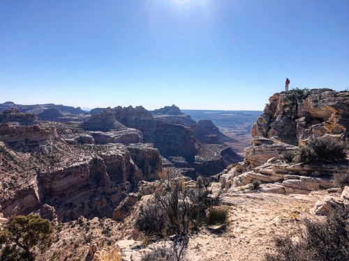 Descending the Canyon